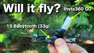 Can this 1S Toothpick Really Carry an Insta360 GO?!?!