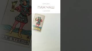 💐 КАРТА ДНЯ 1 СЕНТЯБРЯ #таро #картытаро #tarot #tarotube