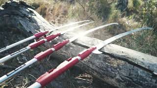 QUALITY and DURABLE saws and poles for PROFESSIONAL pruning