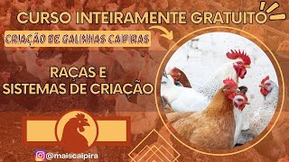 Curso INTEIRAMENTE GRATUITO: Criação de Galinhas Caipiras: RAÇAS E TIPOS DE CRIAÇÃO!