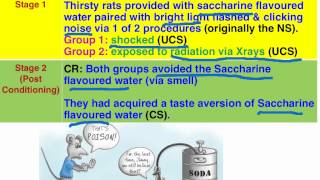 Garcia & Koelling (1966) taste aversion - VCE Psychology