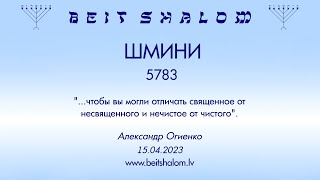 ШМИНИ 5783. "...чтобы вы могли отличать священное от несвященного и нечистое от чистого". А. Огиенко