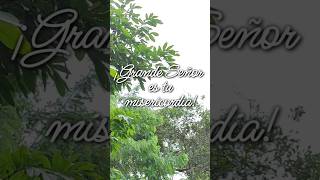 ¡Grande Señor es tu misericordia! (Reflexión Parte 1) #naturaleza #reflexiones #instrumental