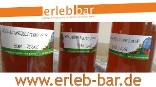 Selber-Machen ist kein Geheimnis – Grundrezept für Holunderblütensirup