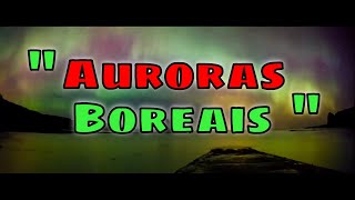 Aurora boreal as cores mais fascinantes da terra #auroraboreal