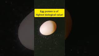 eggs contains best quality protein #healthtips #diettips #weightloss #shortvideo #weightgainfoods