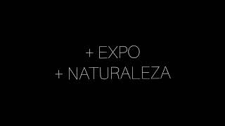 Música SinFin + Expo + Naturaleza. Un espacio de arte a cielo abierto.-