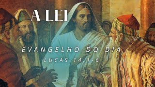 EVANGELHO DO DIA 01/11/2024 - LUCAS 14,1-6 - A LEI