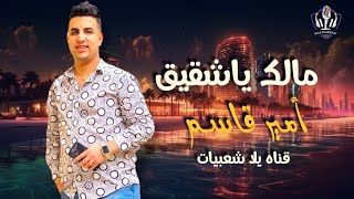 مالك ياشقيقي وترندات_أمير قاسم _ شريف الغمراوي _ اسمع الجديد _ قناه يلا شعبيات