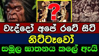 වැද්දෝ නිට්ටෑවෝ සමූල ඝාතනය කලේ ඇයි ? | Why did the Veddos massacre the Nittavas in our country?