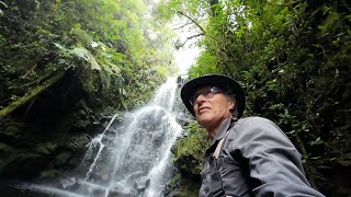 Trek Cerro Dantas - Montañas de Heredia en los lìmites del Parque Nac. Braulio Carrillo- Costa Rica