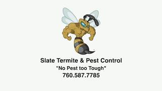 Best Pest Control in Escondido, CA