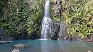 Beautiful waterfalls |Auckland | New Zealand