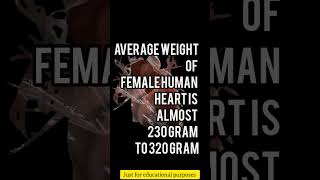 Average weight of female human heart #Shorts #InfoDesk