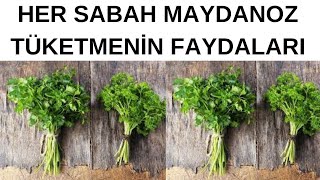 Sabahları 1 Tane Maydanoz Yemek Vücudunuza Bunları Yapıyor | Maydanozun Faydaları Nelerdir?