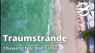 Chaweng Noi ☀️ Die schönsten Strände auf Koh Samui ☀️