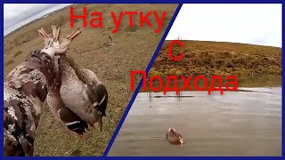 на утку с подхода