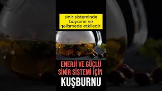 Enerji ve güçlü sinir sistemi için kuşburnu… #shortsvideo