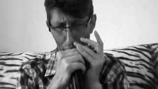 Comme d'habitude harmonica chromatique