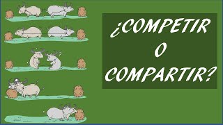 Competir o Compartir