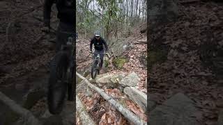 About halfway down Weed Patch, a 9 mile 3000 foot descent there is this creek crossing staircase.