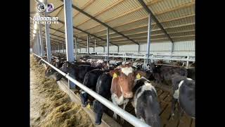 Weanling Cubicles - O'Donovan Engineering