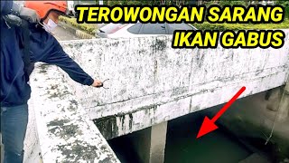 Master MAGETAN ||KETAPEL IKAN TAIWAN|| #viral #trending #ketapelikan #slingshotfish