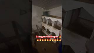 Клетка для бройлеров ✅