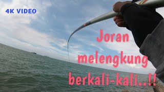 Spot KLI strike bertubi - tubi//mancing baronang//rabbitfish//mancing baronang semarang//baronang