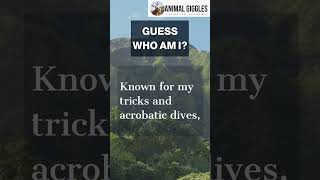 🌊 GUESS WHO AM I 🔍 Animal riddle of the day 🌟 #shorts #trivia #braintest #fun #viralvideo