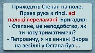 💠 Степан Гарно Сходив на Весілля до Остапа! Українські Анекдоти! Анекдоти Українською! Епізод #252