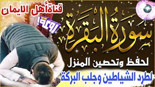 سورة البقرة كاملة مكررة لطرد الشياطين والجن والسحر العين وجلب الرزق والبركة والتحصين surat albaqara