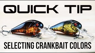 Quick Tip: How to Pick the Right Crankbait Colors All Year