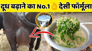 गाय/भैंस का दूध बढ़ाने का No.1👌फॉर्मूला|Doodh bdhane ka tarika|How to increase cow/buffalo milk.