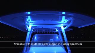 Mirage LED Down Light Preview