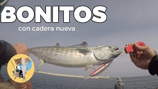 #pesca #bonitos a #spinning con #señuelos Piques con Cadera Nueva