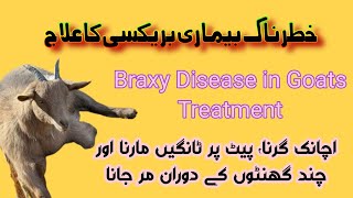 Braxy Disease in Goats and Its Treatment