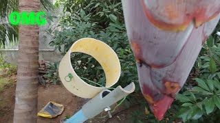 How to make Fruit Wrapper Device From Plastic paint can