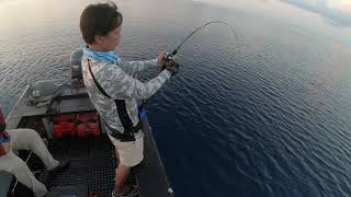 Galahad Slow 631 PE1 Black Giant Trevally Di Lucipara