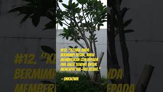 #12.Ketika Anda bermimpi besar, Anda memberikan izin diri Anda sendiri untuk mencapai hal besar." -U