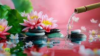 Relaxing Piano Music and Water Sounds, Relaxing Music, Stress Relief, Meditation Music, Study & Yoga