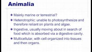 BVW106 Topic 1 Video