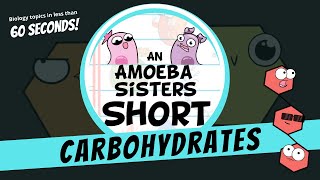 Carbohydrates - Amoeba Sisters #Shorts