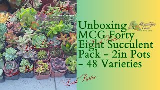 Unboxing New Arrival Succulents from Mountain Crest Gardens || #mylittlejungle #succulentslover