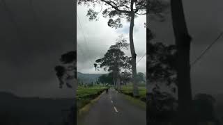 Jalan Ciwidey ke Cidaun