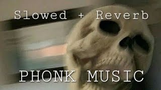 Slowed + Reverb PHONK MUSIC Playlist With Skeleton Pictures | Music For Gaming / Study