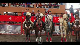 Llegaron Diez Lagunos de  Rancho Laguna Seca Al Rancho Del Charro de Morelia