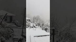 Snowfall in my village