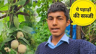 पहाड़ों में होने वाली हमारी स्पेशल सब्जी || Pahadi Lifestyle Vlog || Cool Pahadi || Anuj Pahadi