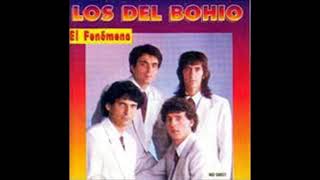 LOS DEL BOHIO - SE FUERON LOS AMIGOS